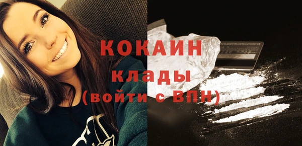 Альфа ПВП Осинники