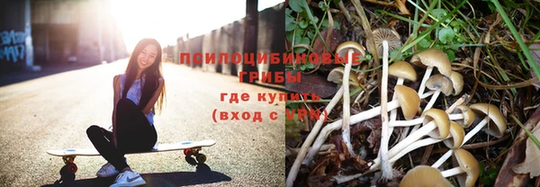 таблы Осташков