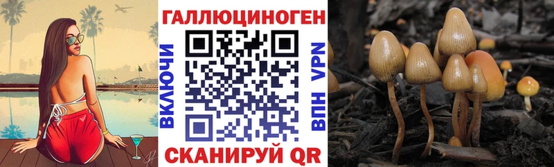 Галлюциногенные грибы мицелий  Купить закладки  Курск 